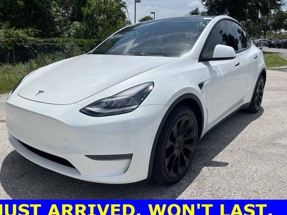 TESLA MODEL Y 2021 5YJYGDEE0MF102254 image